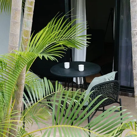 The Leea, Darwin-3